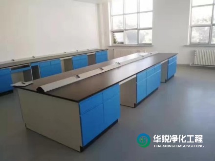 實驗室凈化~潔凈實驗室建設施工要點選擇華銳凈化的優(yōu)勢